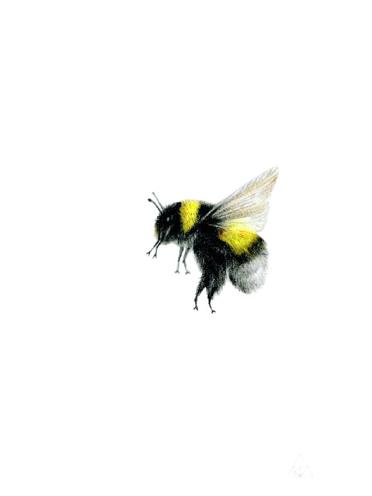 Bee 2 (Original)